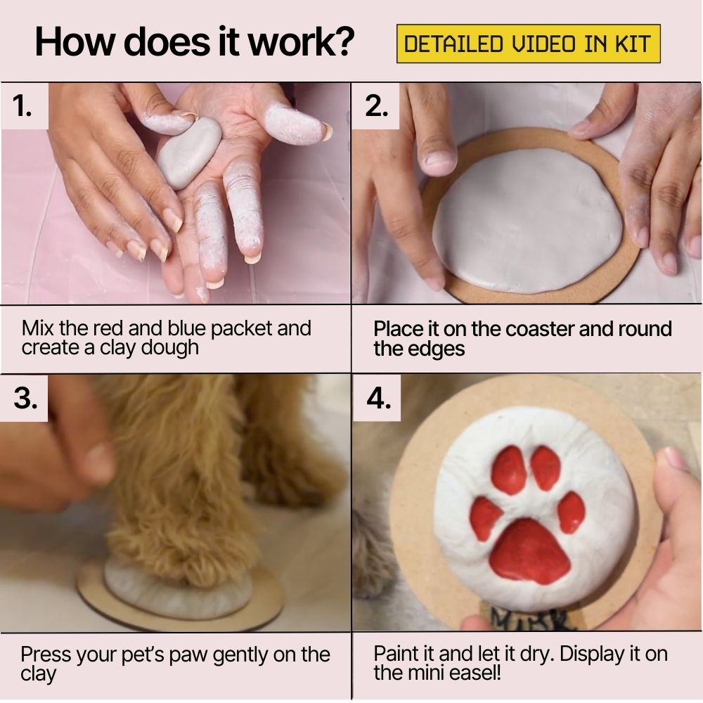 Kitsters DIY Paw Printing Kit for Dogs and Cats