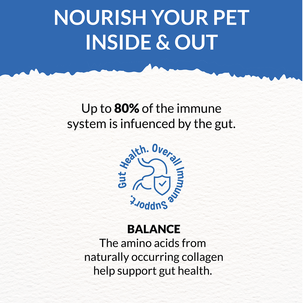 Goofy Tails Seafood Bone Broth for Cats