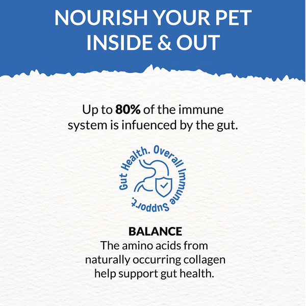 Goofy Tails Seafood Bone Broth for Cats