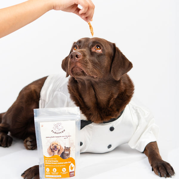 Floofyou Air Dried High Protein Chicken with Fish Jerky Dog and Cat Treats