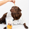 Floofyou Air Dried High Protein Chicken with Fish Jerky Dog and Cat Treats Dog Treats + Others FloofYou