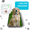 FeTaca G61 Smart 4G GPS Waterproof Collar Tracker with 12months Free Tracking & App Subscription for Dogs and Cats (White) Both-Collar, Leashes, harnesses FeTaca Dropship