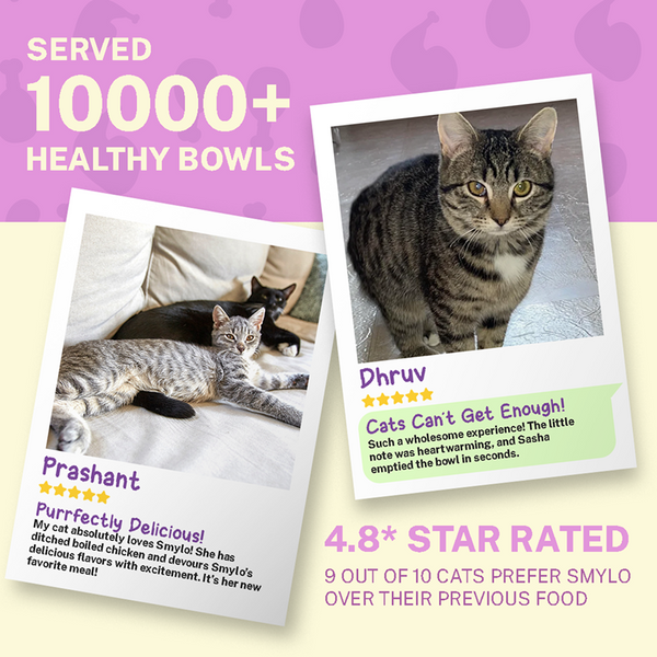Smylo Chicken, Liver and Pomergranate Fresh and No Preservative Adult Cat Wet Food