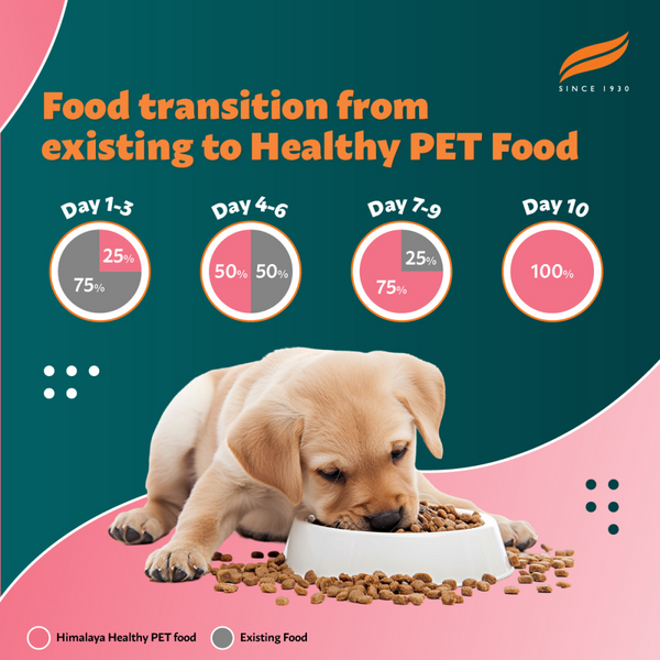 Himalaya Chicken & Milk Healthy Pet Puppy Dry Food