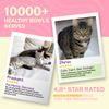 Smylo Mackerel, Kanikama and Cranberry Fresh and No Preservative Adult Cat Wet Food Cats-Wet Food Smylo