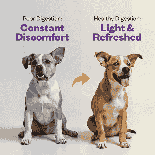 TailsAlive Probiotic Chicken Flavor Soft Chews Supplements for Dogs