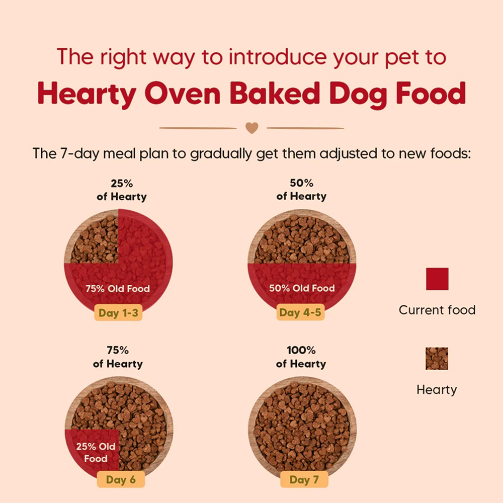 HUFT Hearty Oven Baked Chicken & Fish with Superfoods Puppy Dog Dry Food Dogs- Dry Food Heads Up for Tails