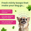 Bark Out Loud by Vivaldis Grain Free Chicken Dental Chews Dog Treats Dog Treats + Others Bark Out Loud