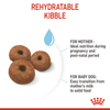 Royal Canin Giant Breed Dog and Puppies Starter Dog Dry Food Dogs- Dry Food Royal Canin