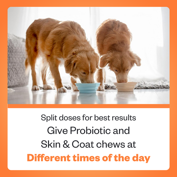 TailsAlive Probiotic Chicken Flavor and Skin & Coat Soft Chews Supplements for Dogs