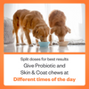 TailsAlive Probiotic Chicken Flavor and Skin & Coat Soft Chews Supplements for Dogs Dogs-Health & Wellness TailsAlive
