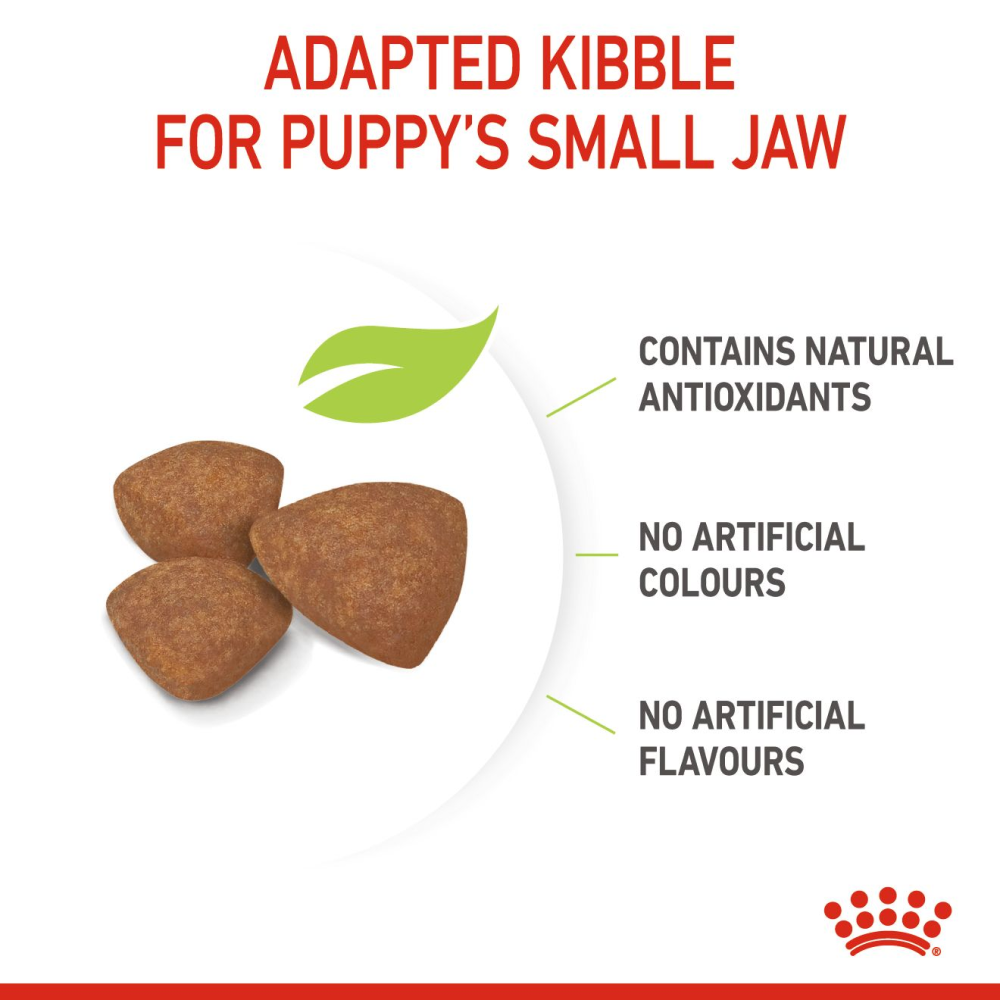Royal Canin Mini Puppy Dog Dry and Wet Food Combo