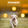 Pedigree Chicken and Milk Puppy Dog Dry Food Dogs- Dry Food Pedigree