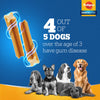 Pedigree Dentastix Oral Care for Adult (Medium Breed of 10 to 25 kg) Dog Treats Dog Treats + Others Pedigree