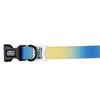 Basil Adjustable Padded Collar for Dogs (Blue/Yellow) Dogs-Collar, Leashes, harnesses Basil