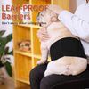 KUTKUT Diapers for Male Dogs (Black) Dogs-Health & Wellness KUTKUT Dropship