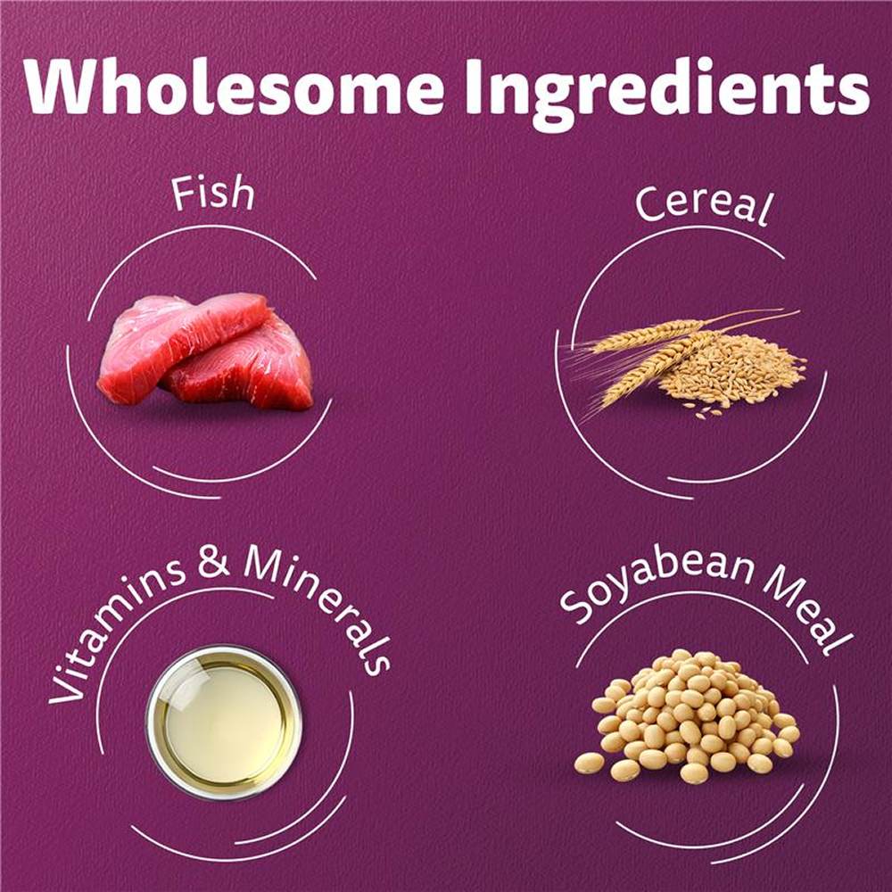 Whiskas Adult Complete Meal Combo |Tuna Dry & Wet Cat Food Cats- Dry food Whiskas