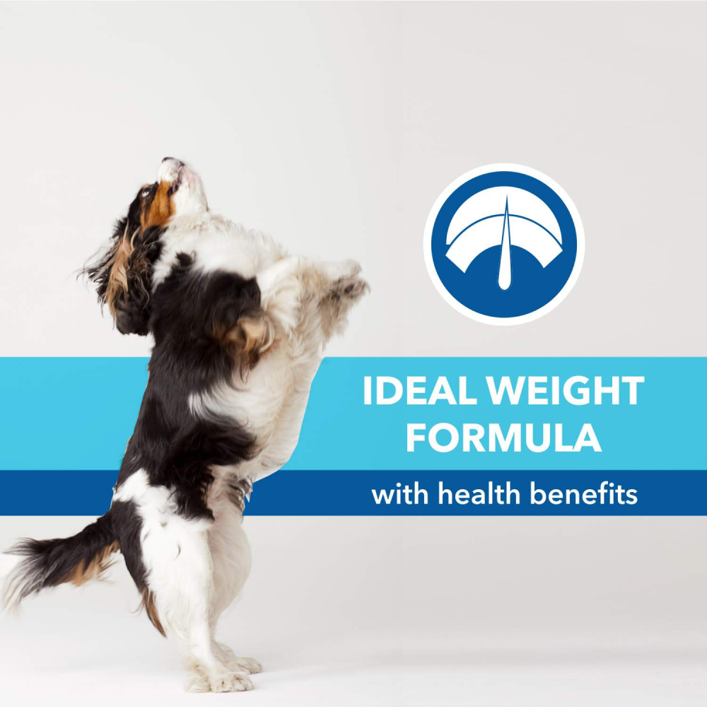 Purepet Chicken & Vegetable Puppy Dog Dry Food Dogs- Dry Food Purepet