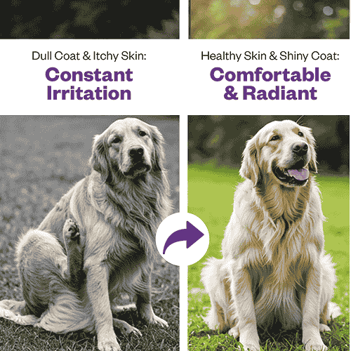 TailsAlive Skin & Coat Soft Chews Supplement for Dogs