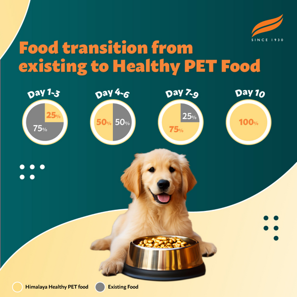 Himalaya Chicken & Rice Healthy Pet Puppy Dry Food