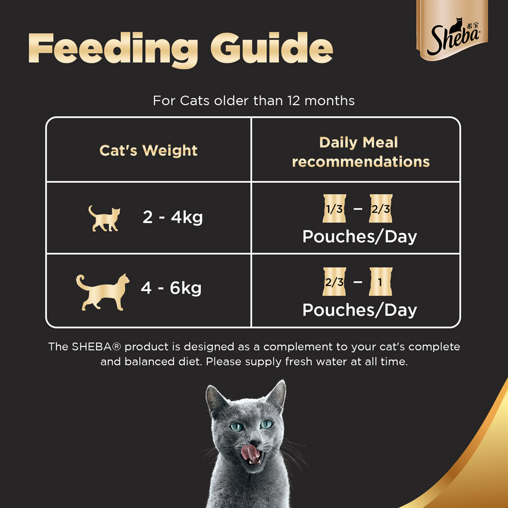 Sheba Chicken Loaf and Tuna Pumpkin & Carrot In Gravy Rich Premium Adult Fine Cat Wet Food Combo Cats-Wet Food Sheba