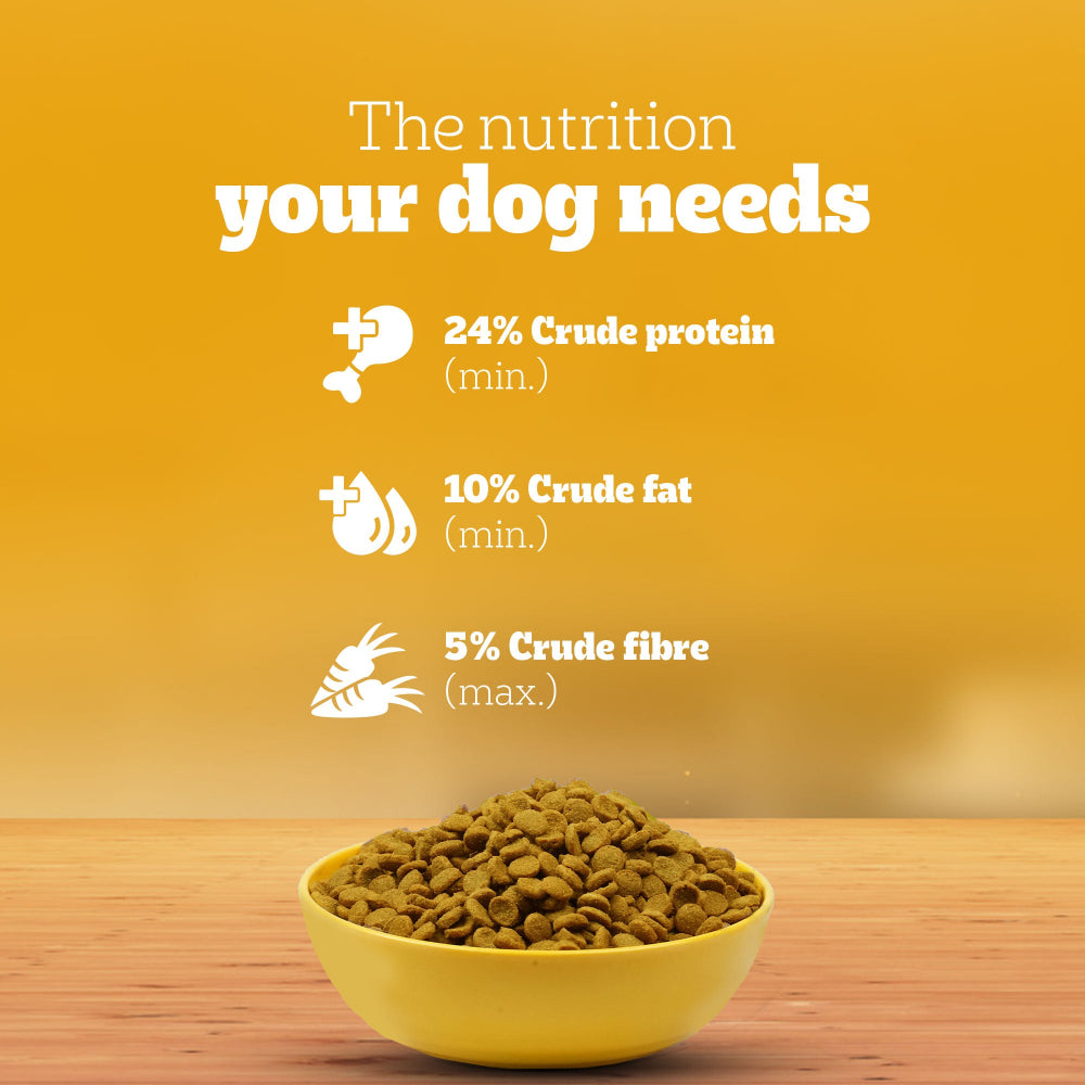 Pedigree 100% Vegetarian Puppy and Adult Veg Dog Dry Food Dogs- Dry Food Pedigree