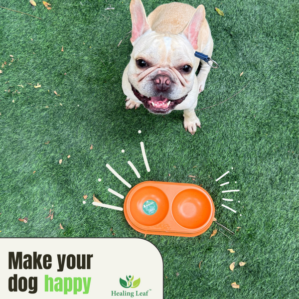 Healing Leaf Eco Friendly Dual Bamboo Bowl for Dogs and Cats (Beige)