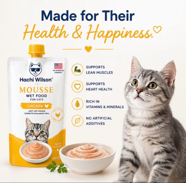 Hachi Wilson Chicken Mousse Wet Food for Cats & Kittens