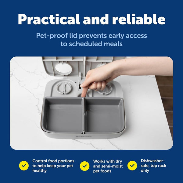 PetSafe 2 Meal Automatic Pet Feeder for Dogs and Cats