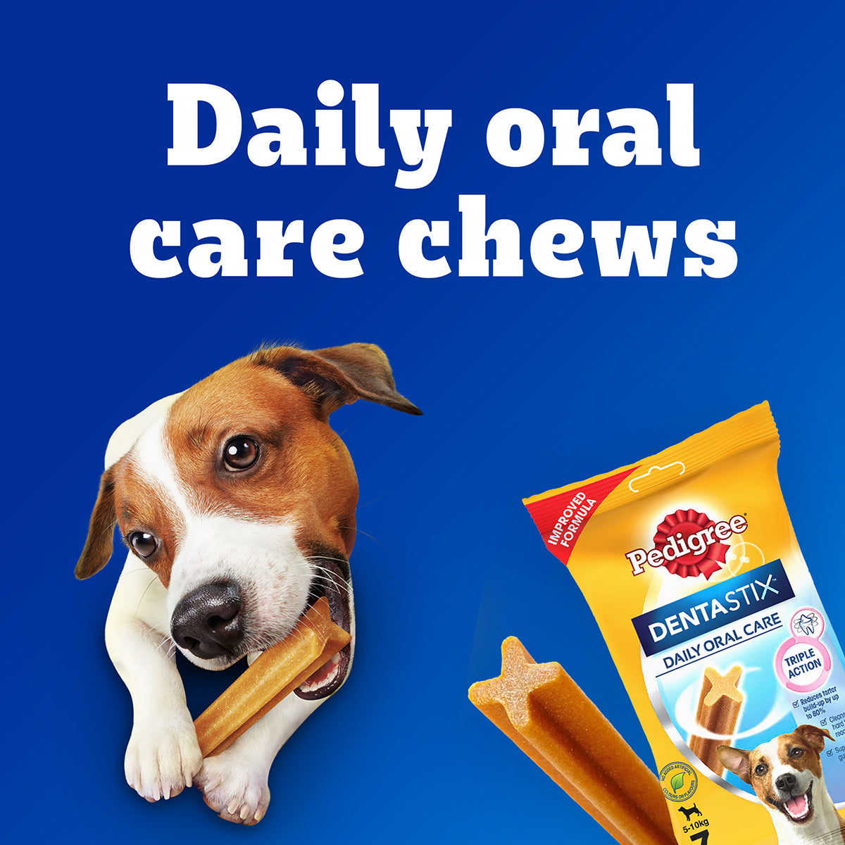 Pedigree Dentastix Oral Care for Adult (Small Breed of 5 to 10 kg) Dog Treats Dog Treats + Others Pedigree