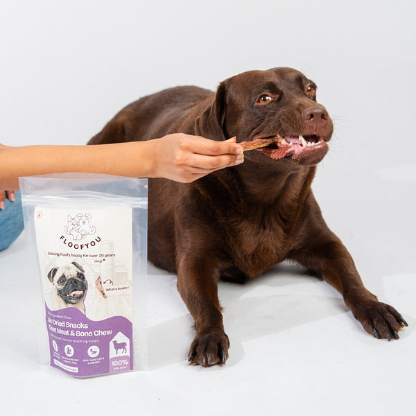 Floofyou Air Dried Meaty Chunks Bone Dental Chew Dog Treats