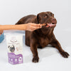 Floofyou Air Dried Meaty Chunks Bone Dental Chew Dog Treats Dog Treats + Others FloofYou