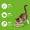 Kitekat Ocean Fish Adult Cat Dry Food Cats- Dry food Kitekat