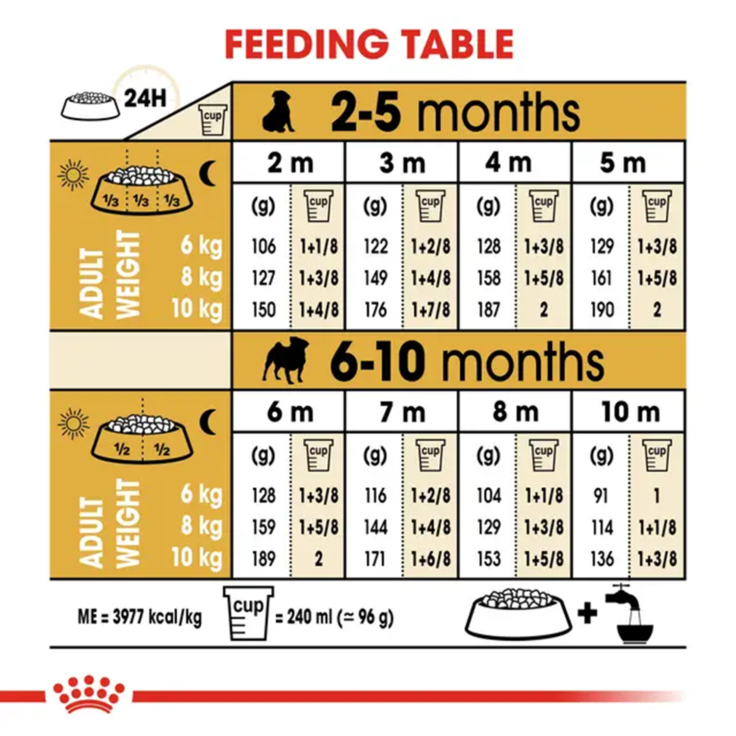 Royal Canin Pug Junior Dog Dry Food Dogs- Dry Food Royal Canin
