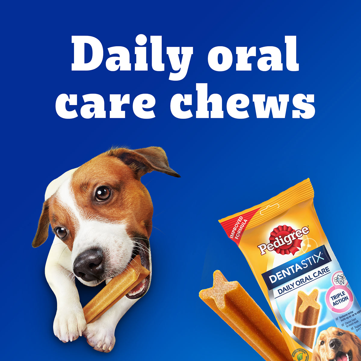 Pedigree Dentastix Oral Care for Adult (Large Breed of 25 kg+) Dog Treats