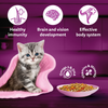 Whiskas Tasty Mix Seafood Cocktail Carrot Gravy Kitten Cat Wet Food Cats-Wet Food Whiskas