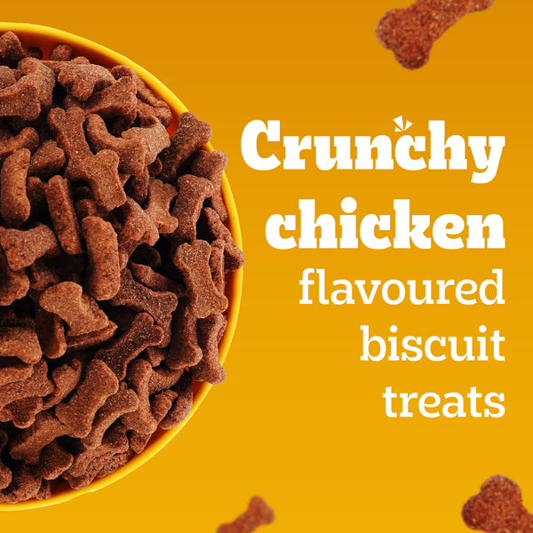 Pedigree Chicken Flavour (4+ Months) Biscrok Biscuits Jar Treats for Dogs