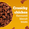 Pedigree Chicken Flavour (4+ Months) Biscrok Biscuits Jar Treats for Dogs Dog Treats + Others Pedigree