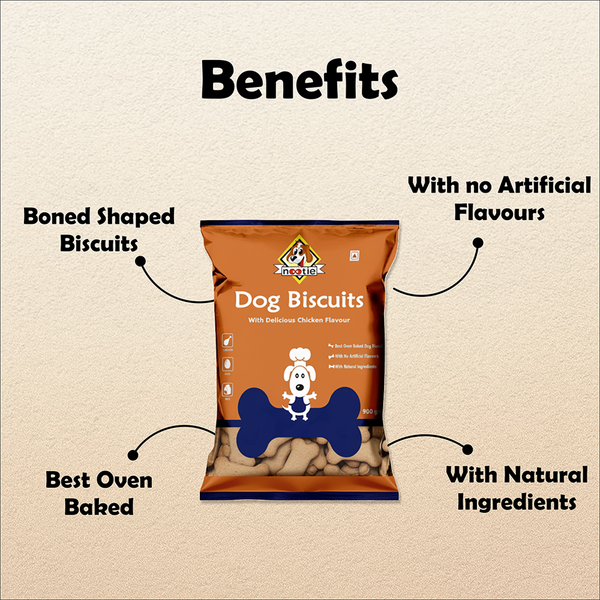 Nootie Chicken & Peanut Butter Flavour Biscuits Adult Dog Treats