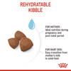 Royal Canin Medium Starter Dry Food for Medium Breed Dog and Puppies Dogs- Dry Food Royal Canin