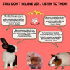 FloofYou Oven Baked Classic Apple Small Animal Treats Rabbits FloofYou