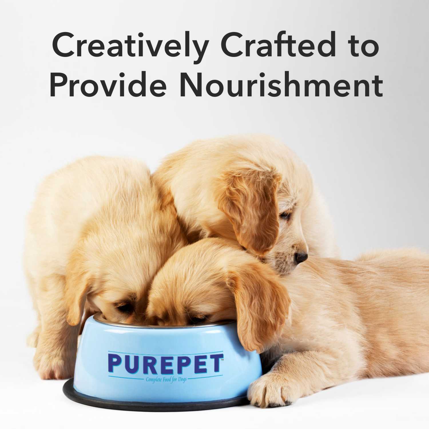 Purepet Chicken & Vegetable Adult Dog Dry and Wet Food Combo