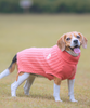 Pet Set Go Cable Knit Sweater for Dogs (Peach) Dogs-Clothing & Accessories Pet Set Go Dropship XS