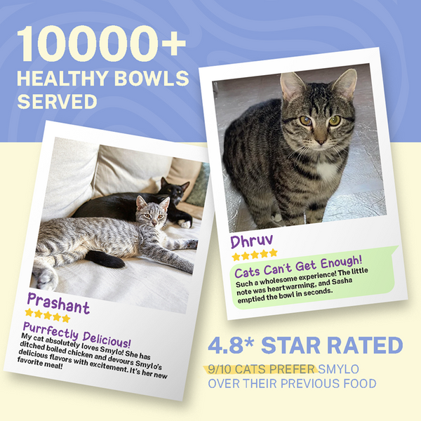 Smylo Chicken, Tuna and Rosemary Fresh and No Preservative Adult Cat Wet Food