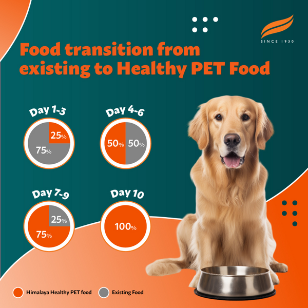 Himalaya Chicken & Pumpkin Adult Dog Dry Food