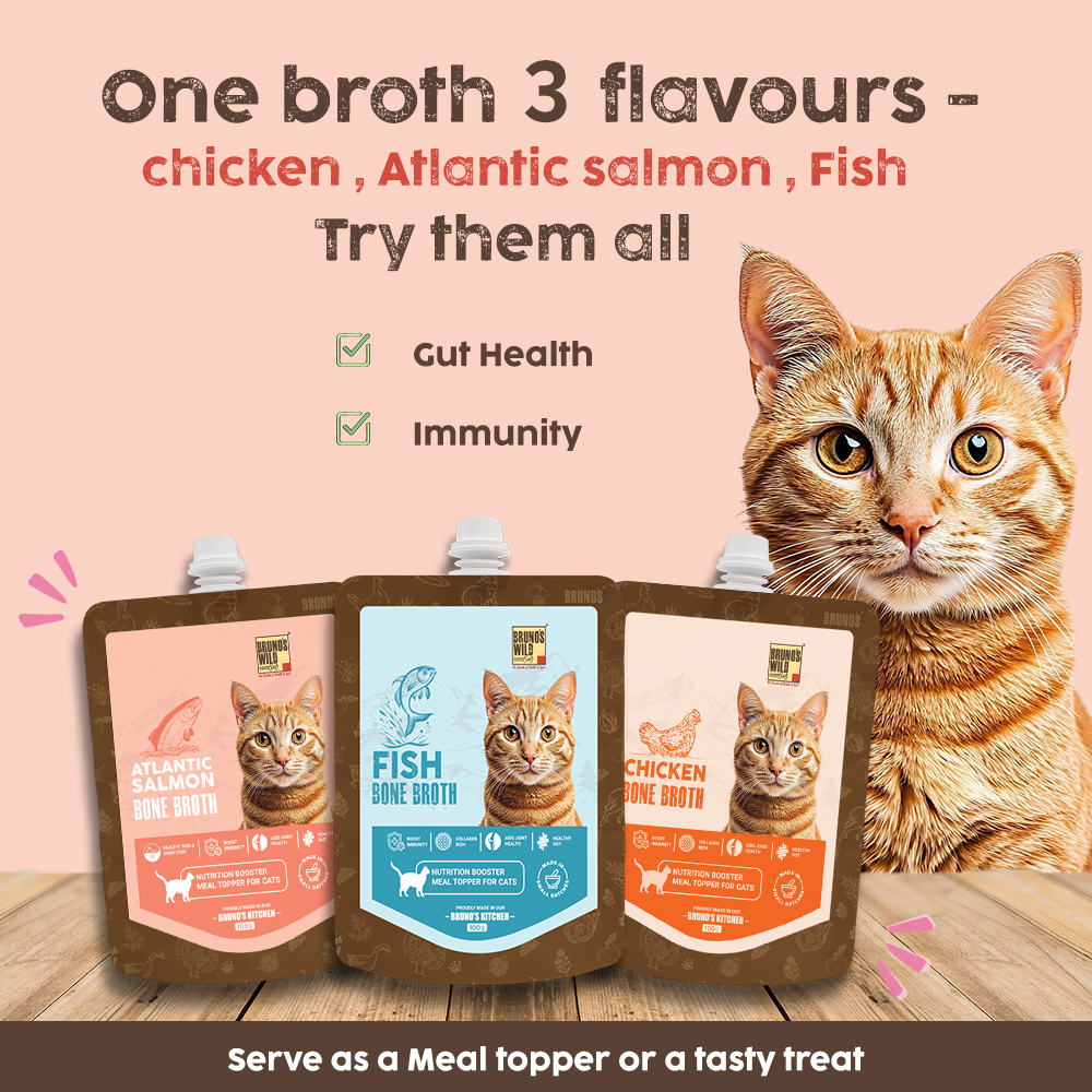 Bruno's Wild Essentials Atlantic Salmon Bone Broth For Cats Cats-Treats & Others Bruno's Wild Essentials
