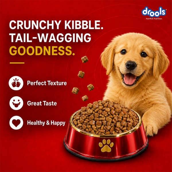 Drools Chicken and Egg Puppy Dog Dry Food