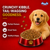 Drools Chicken and Egg Puppy Dog Dry Food Dogs- Dry Food Drools
