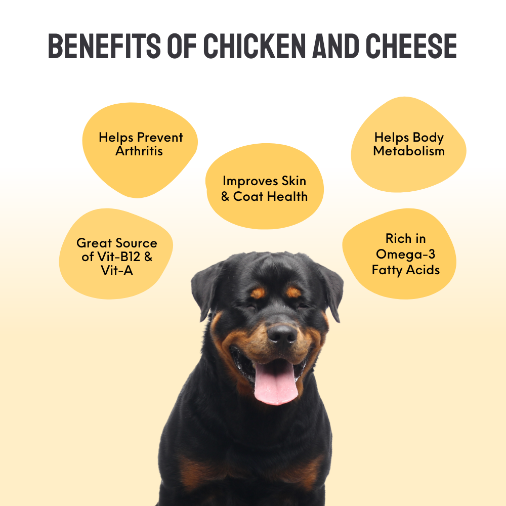 Floof & Co Classic Chicken Cheese Dog Treats (Buy 1 Get 1) Dog Treats + Others Floof & Co