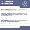 Unleash Wellness TuDry All Natural Waterless Shampoo for Dogs and Cats Both-Grooming Supplies Unleash Wellness Dropship